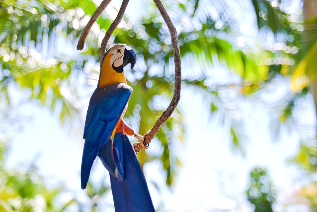 Encantos Da Ilha Florianopolis Ngoại thất bức ảnh